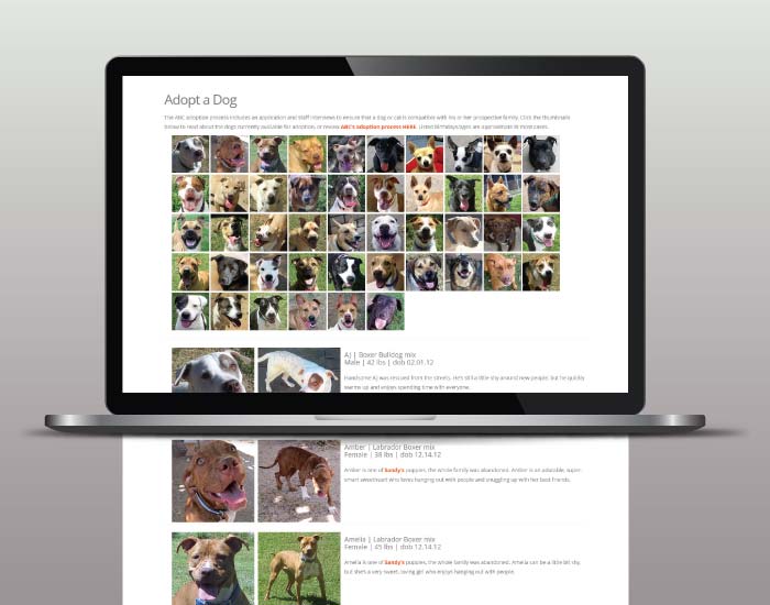 Website, animal rescue